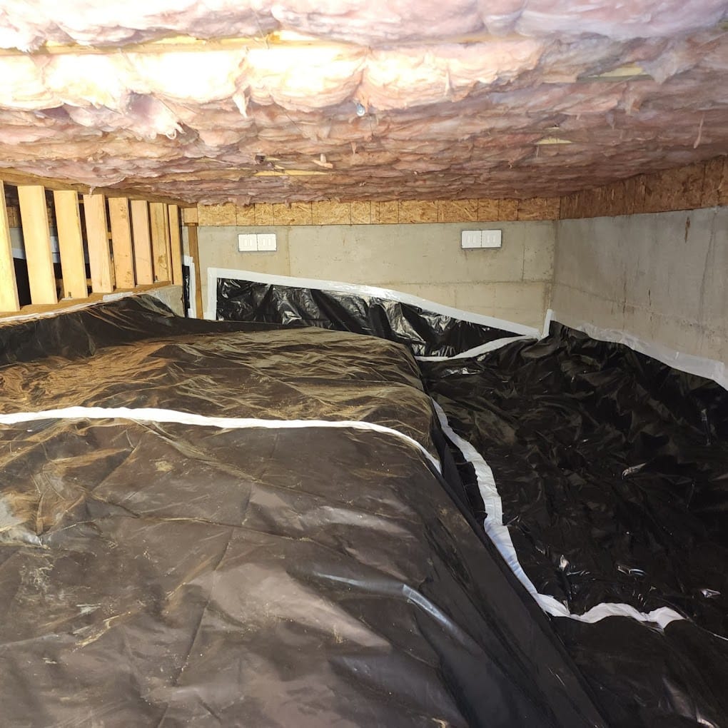 Crawl space cleaned up
