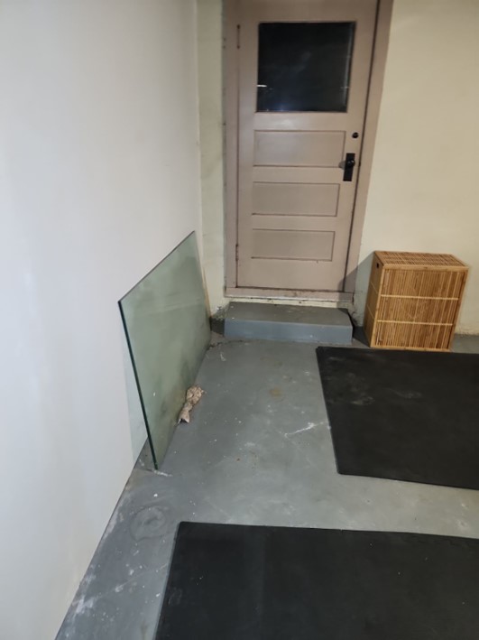 Basement door portland