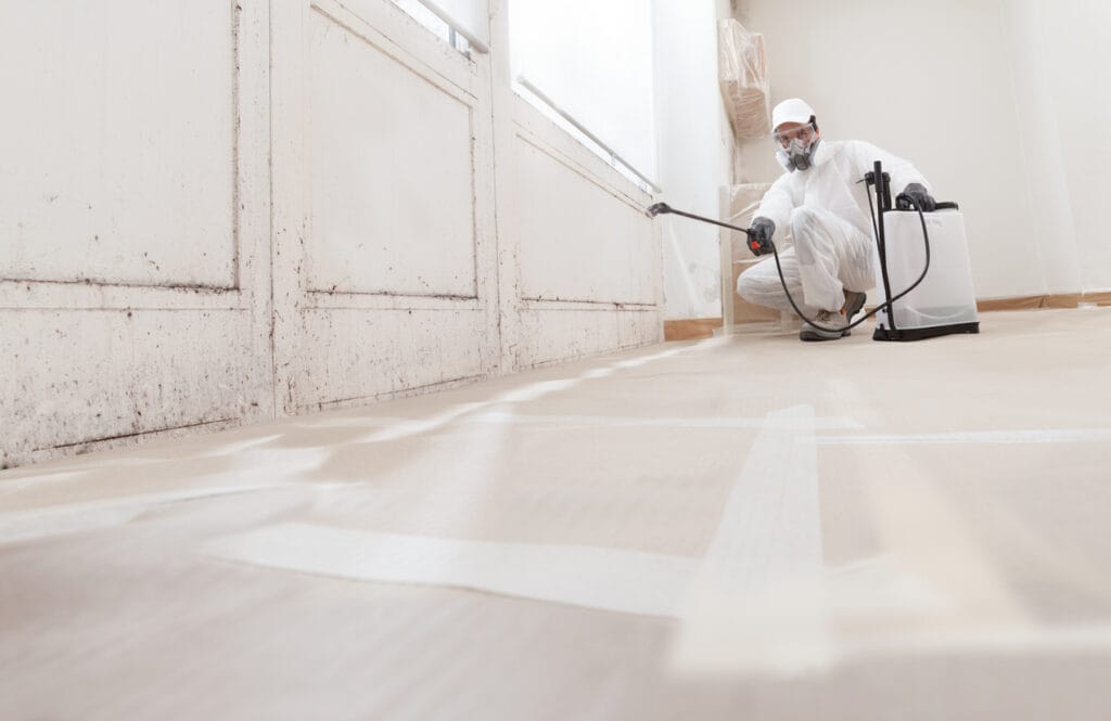 Man cleaning mold