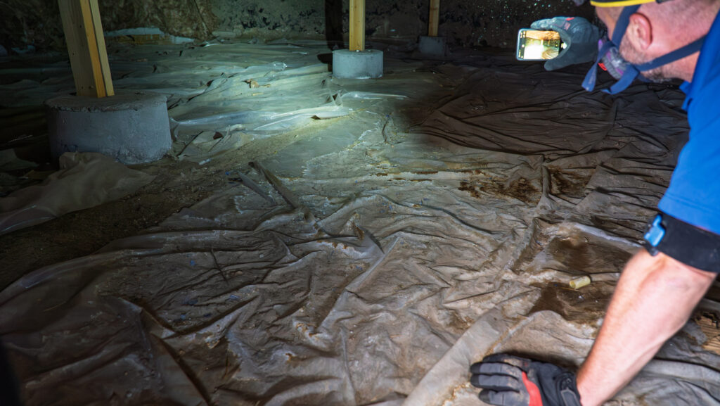 Final Crawlspace Assessment