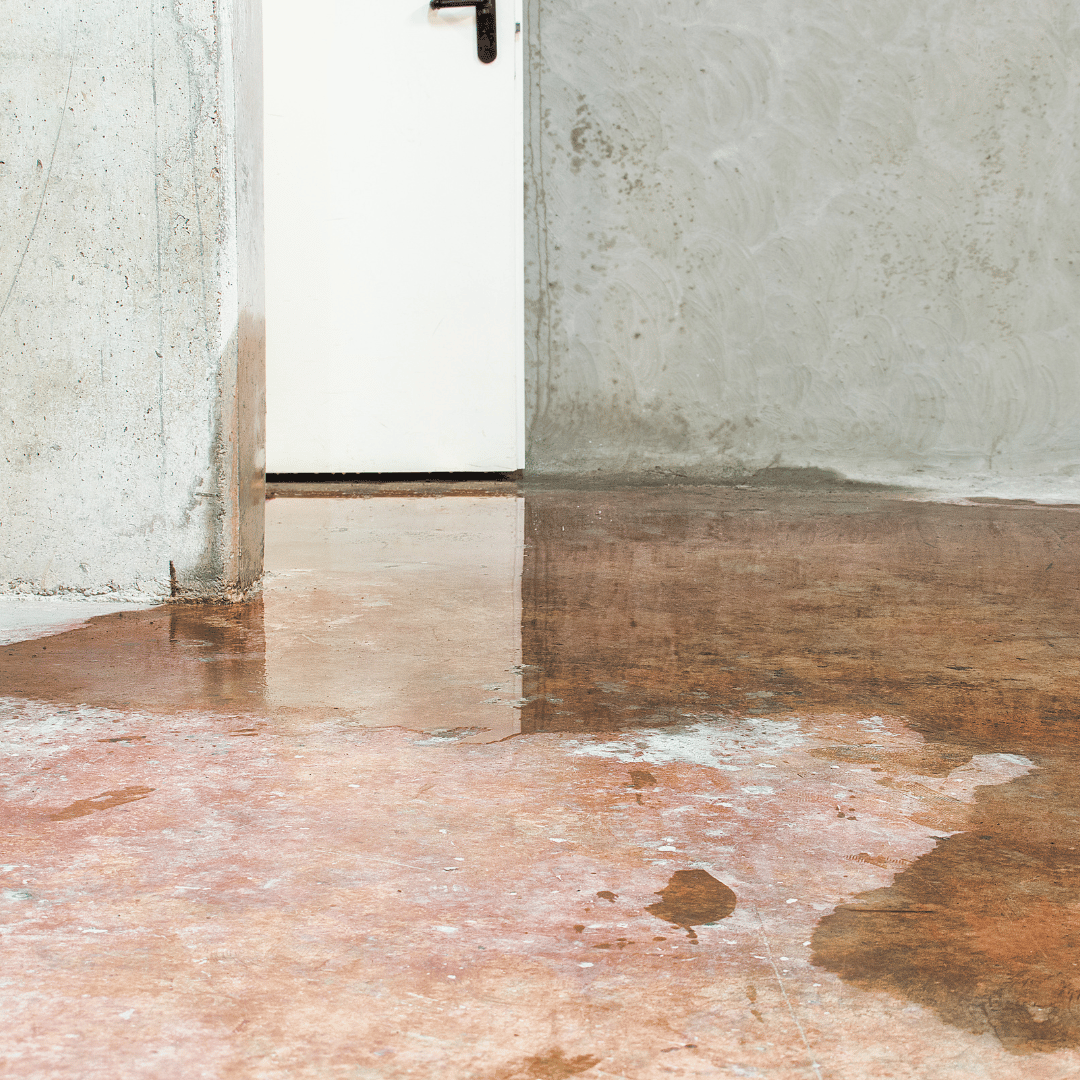 Water leaking into basement floor near wall showing moisture damage and pooling water