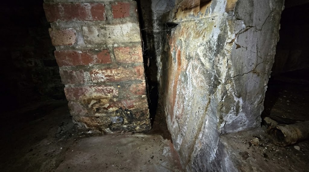 white efflorescence on basement walls on concrete in Portland Oregon home showing moisture infiltration and water damage