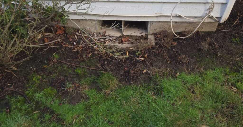 window well leaking with standing water against a basement window in Portland Oregon